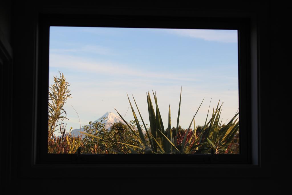 Aviator Villa New Plymouth Exterior photo